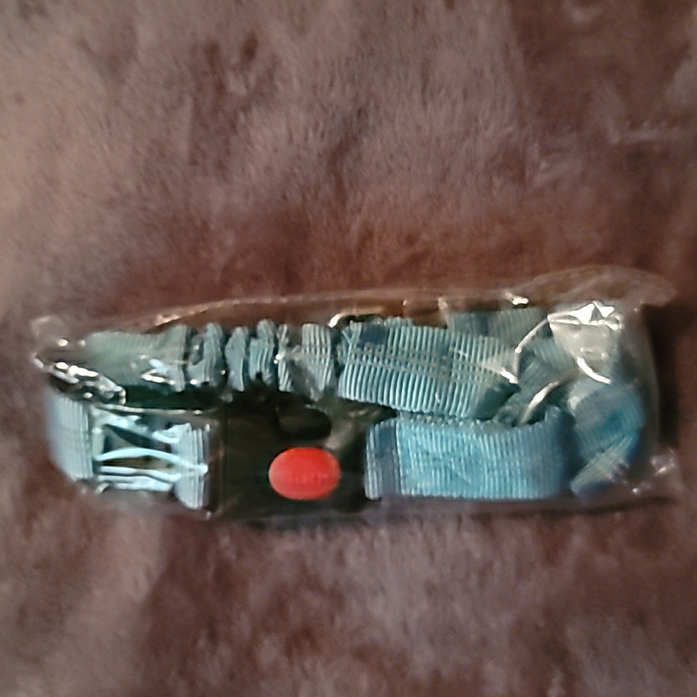 Brand New Never Used Pet Car Safety Collar & Leash